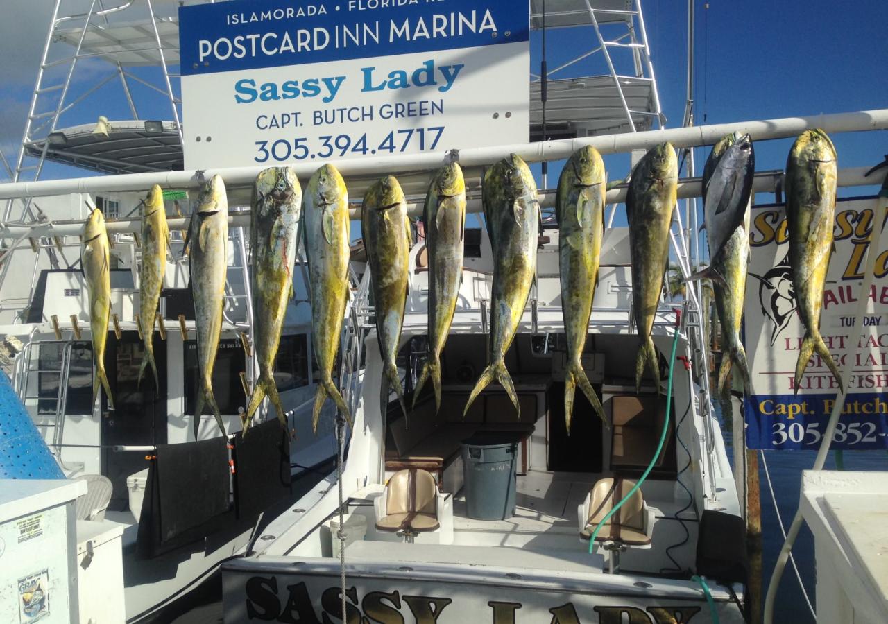 Fishing Charters Postcard Inn Beach Resort & Marina